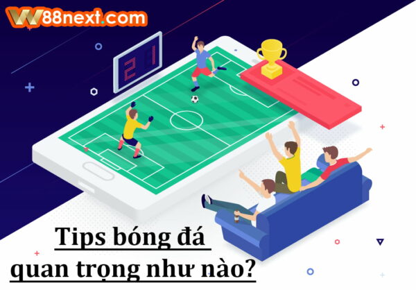 Tip bóng đá W88 rất quan trọng khi chơi cá độ bóng đá online